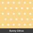 Sunny Citrus print placeholder